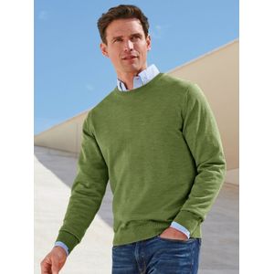 Trui 100% scheerwol ronde hals Van Peter Hahn groen