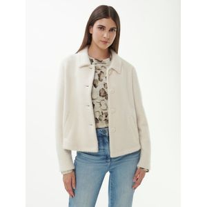 Jersey jasje Van Peter Hahn wit