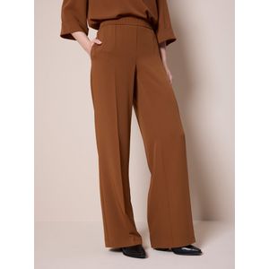 Broek Van Peter Hahn bruin