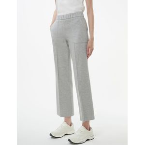 Broek Van Peter Hahn grijs