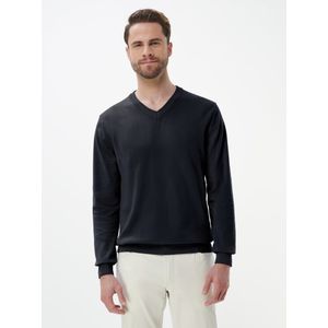 V-sweater Van Peter Hahn blauw