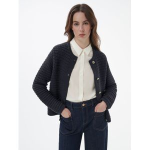 Vest Van Peter Hahn blauw