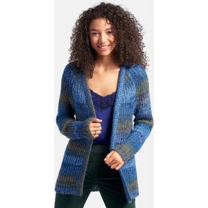 Peter Hahn - Vest - Blauw - Lange Mouwen