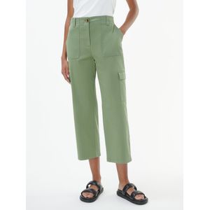 Broek Van Peter Hahn groen