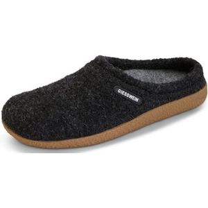 Pantoffels Veitsch Van Giesswein grijs