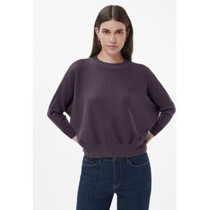 Trui ronde hals 100% SUPIMA-katoen Van Peter Hahn paars