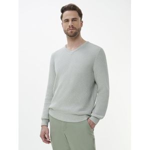 Trui V-hals Van Louis Sayn groen