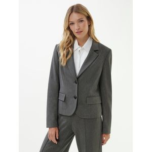 Jersey blazer Van Peter Hahn grijs