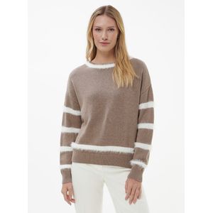 Gebreide trui Van BASLER beige