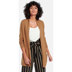 Vest 100% kasjmier lange mouwen Van include bruin