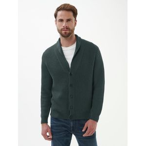 Vest sjaalkraag Van Louis Sayn groen