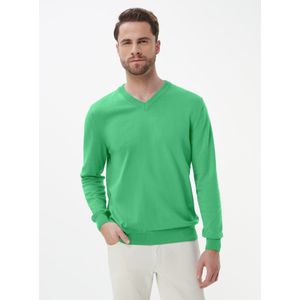 V-sweater Van Peter Hahn groen