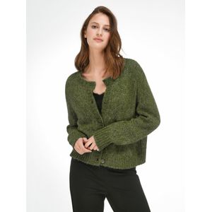 Vest lange mouwen Van Peter Hahn groen