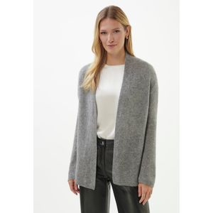 Vest lange mouwen Van include grijs