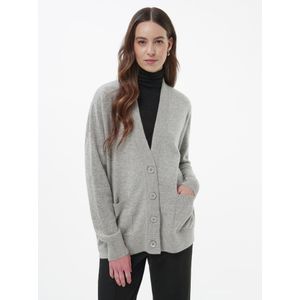 Vest Van include grijs