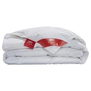 Dekbed Silvana Royale Rood Dons (Extra Light)-240 x 220 cm