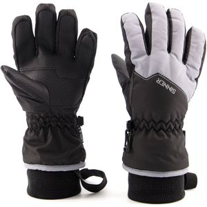 Sinner Phoenix Glove Junior WintersporthandschoenenHandschoenenWintersportkledingWintersport