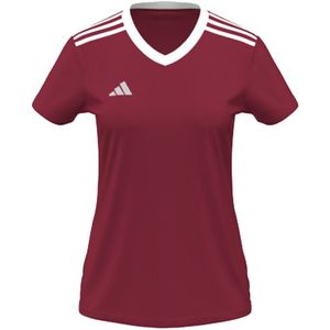 adidas Cu Ent22 Jersey Ss Polo's & ShirtsHockeykleding - DamesHockeykledingHockey