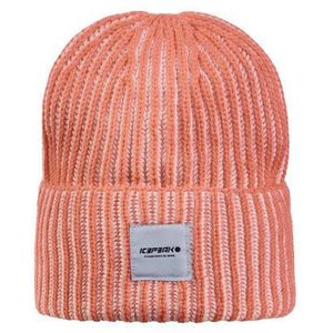 Icepeak - Hibbing - Muts - Kinderen - Twee-tonig Vissersribontwerp