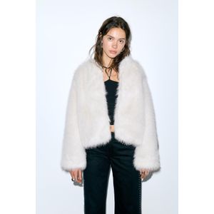 Jack Van Imitatiebont