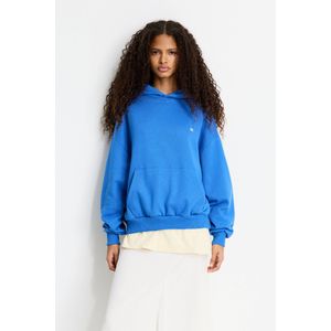 Capuchonsweater Met Geborduurd Logo