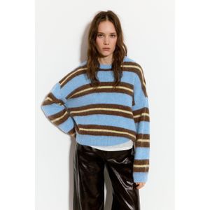 Blauwe Gestreepte Trui
