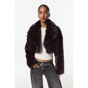 Jack Van Imitatiebont