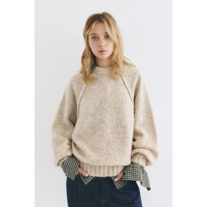 Trui Met Volumineuze Mouwen