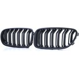 Sportgrille - BMW F10 F11 10-17 - Dubbele stang - Performance mat