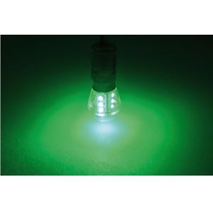 Talamex Ledlamp led15 10-30V BAY15D green