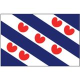 Talamex Friese vlag  For 40 x 60 cm | Bootvlaggen