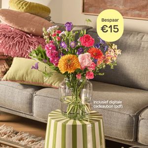 12x maandelijks Pixie