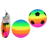 2 regenboog ballen in net maat 3 29661