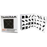 Tangram boekje 208 voorbeeld+oplossingen