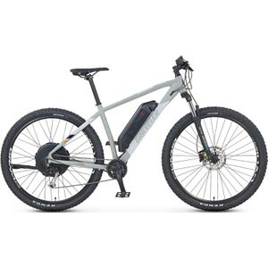 PROPHETE GRAVELER 22.EMM.20 mountainbike (wielmaat: 29 inch, framehoogte: 48 cm, herenfiets, 499 Wh, grijs mat)