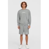 O'neill - The Future Surf Society - Korte Sportbroek