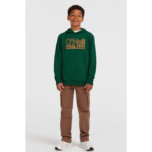 O'Neill Cargo Pants  - Jongens - Bruin - Maat: 176