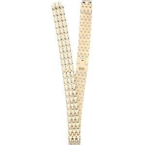 Fossil AES5302 Raquel band