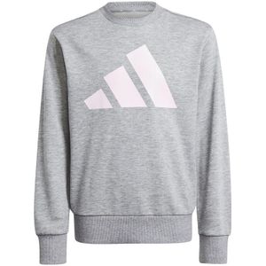 adidas Essentials Sweatshirt Kinder in grau