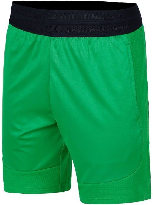 Lacoste Shorts Herren in grün, Größe: XS