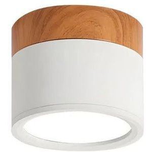 Nordic Cilinder Led Plafondlampen Voor Gangen