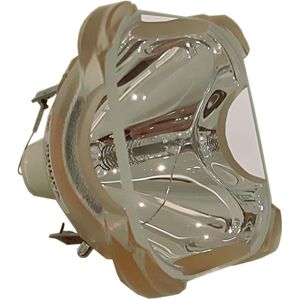 Beamerlampe (nur Leuchtmittel) für SONY (ersetzt: LMP-H180)