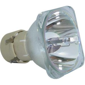 Beamerlampe (nur Leuchtmittel) für OPTOMA (ersetzt: SP.71K01GC01, BL-FU190G)