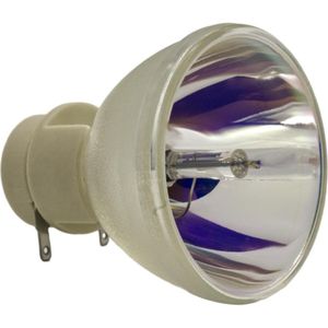 Beamerlampe (nur Leuchtmittel) für BENQ (ersetzt: 5J.JKC05.001, 5J.JKC05.A01)