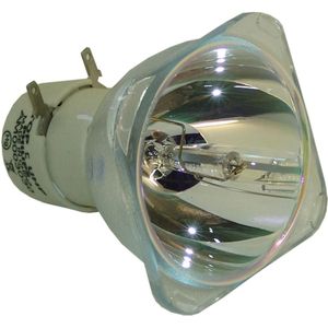 Beamerlampe (nur Leuchtmittel) für BENQ (ersetzt: 5J.J7C05.001)