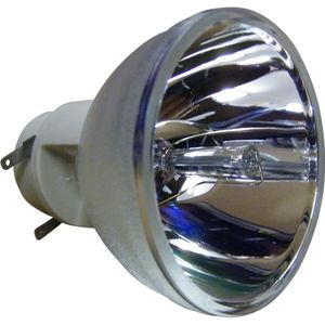 Beamerlampe (nur Leuchtmittel) für ACER (ersetzt: MC.JJT11.001, MR.JJU11.002)