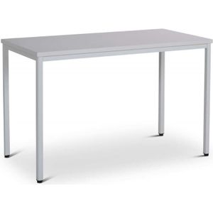CEHA Mehrzwecktisch 120 x 80 cm lichtgrau/grau