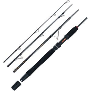 WFT Go North II 4pcs. 20lbs 2,10m 100-400g Meeres-Reiserute