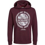 Jack & Jones Hoodie Stein Kapuzensweatshirt