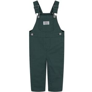 GREEN Levi's®Carpenter Overa - BISTRO